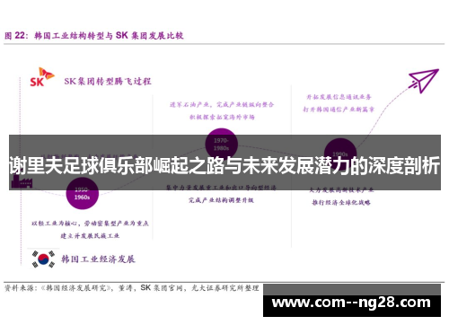 谢里夫足球俱乐部崛起之路与未来发展潜力的深度剖析
