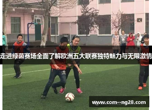 走进绿茵赛场全面了解欧洲五大联赛独特魅力与无限激情