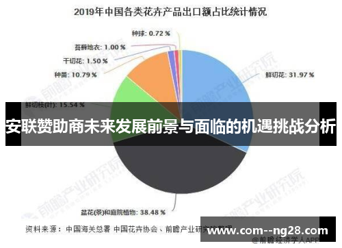 安联赞助商未来发展前景与面临的机遇挑战分析