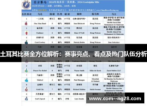 土耳其比赛全方位解析:赛事亮点、看点及热门队伍分析 土耳其比赛全方位解析:赛事亮点、看点及热门队伍分析