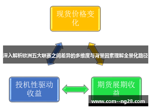 深入解析欧洲五大联赛之间差异的多维度与背景因素理解全景化路径 深入解析欧洲五大联赛之间差异的多维度与背景因素理解全景化路径