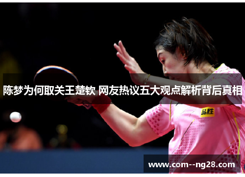 陈梦为何取关王楚钦 网友热议五大观点解析背后真相 陈梦为何取关王楚钦 网友热议五大观点解析背后真相