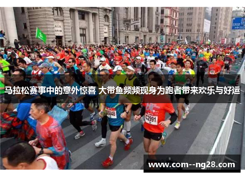 马拉松赛事中的意外惊喜 大带鱼频频现身为跑者带来欢乐与好运
