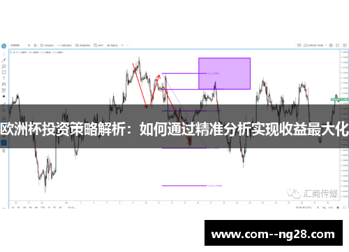 欧洲杯投资策略解析:如何通过精准分析实现收益最大化 欧洲杯投资策略解析:如何通过精准分析实现收益最大化
