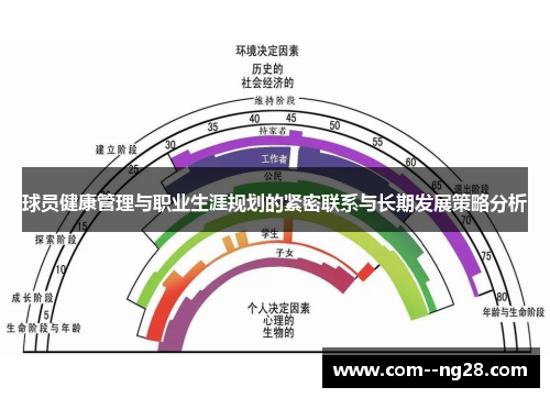 球员健康管理与职业生涯规划的紧密联系与长期发展策略分析