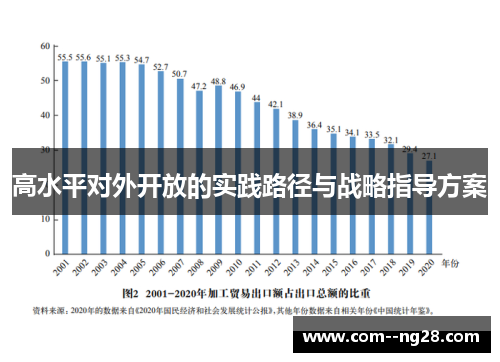 高水平对外开放的实践路径与战略指导方案