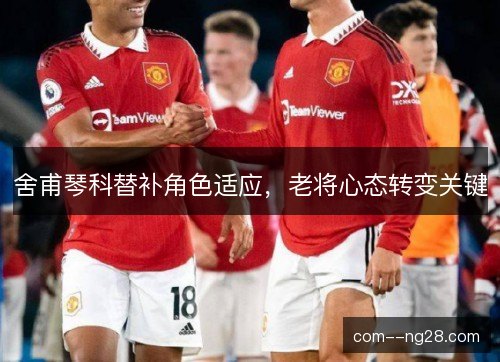 舍甫琴科替补角色适应，老将心态转变关键